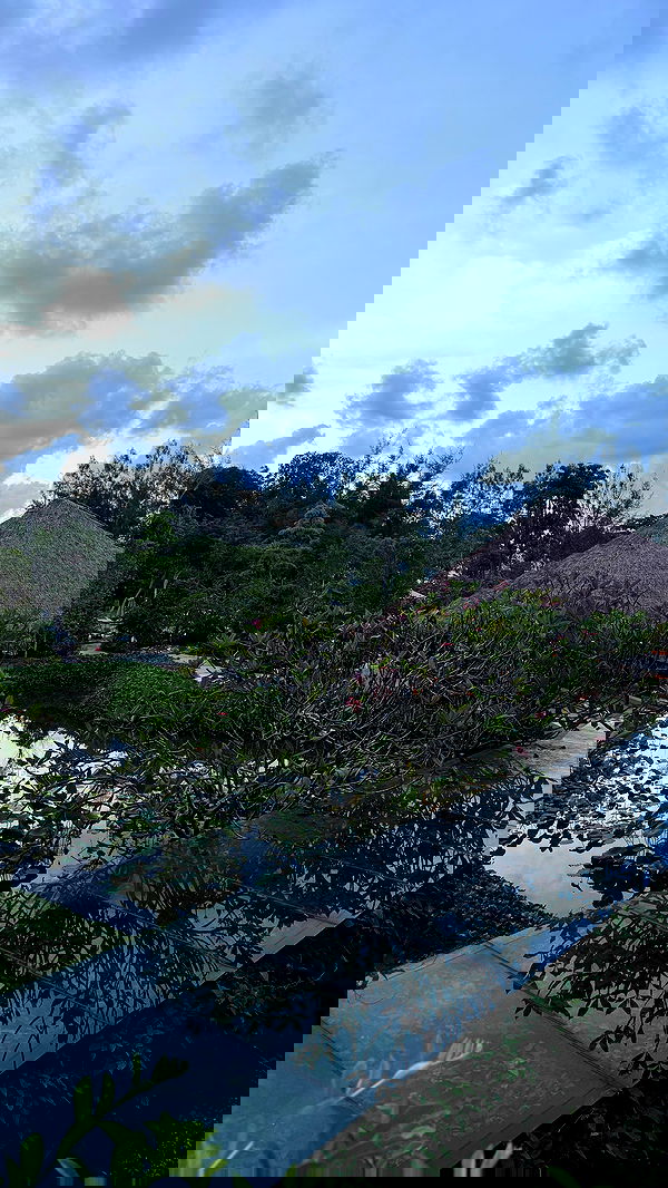 ellie.coldwell image ~ Altpins