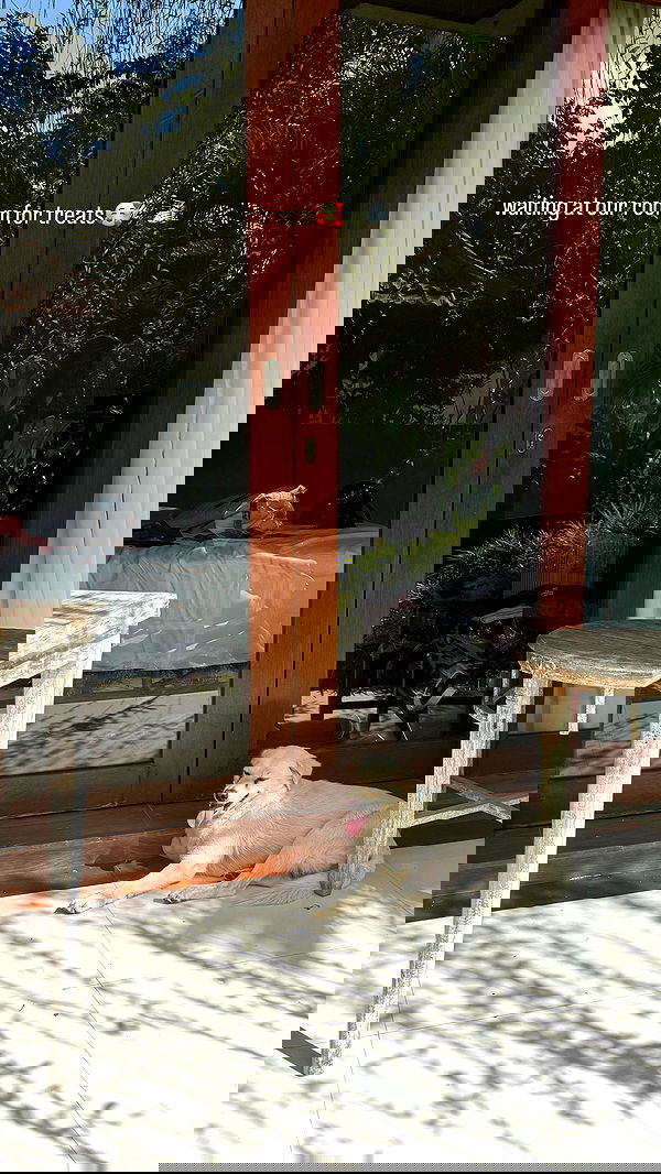 ellie.coldwell image ~ Altpins