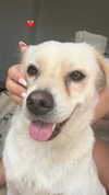 ellie.coldwell Altpins Profile Picture