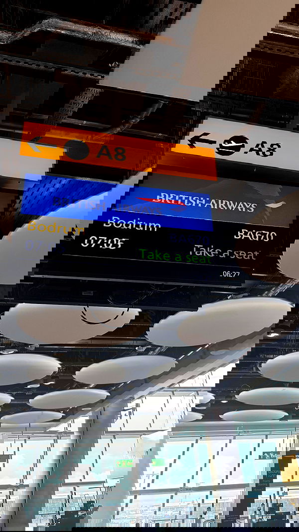 ellie.coldwell image ~ Altpins