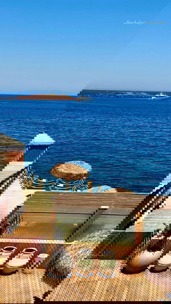 ellie.coldwell image ~ Altpins