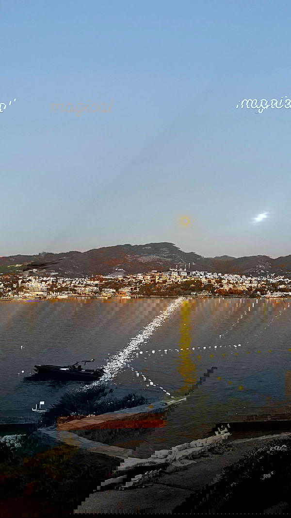 ellie.coldwell image ~ Altpins