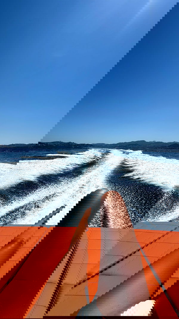 ellie.coldwell image ~ Altpins