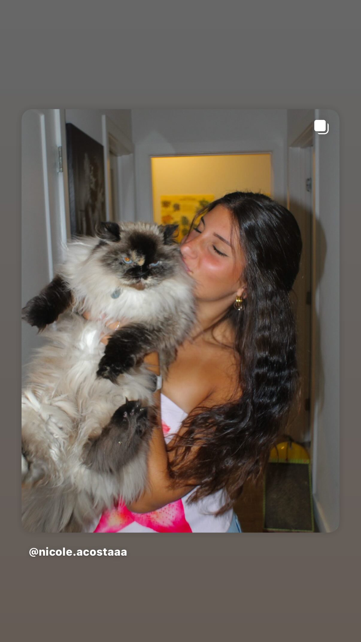 elliemarriee instagram image archive image