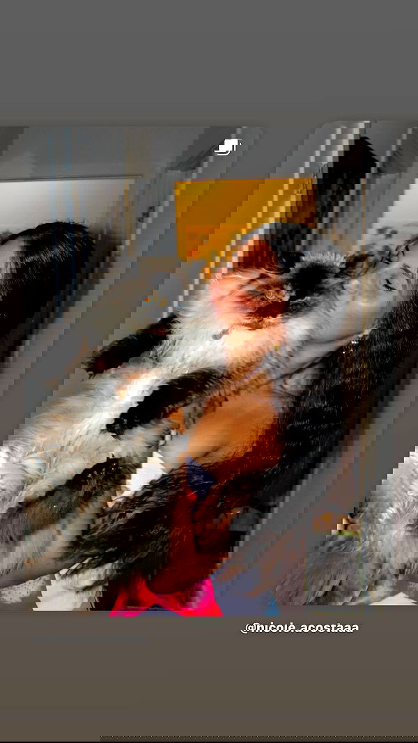 elliemarriee image ~ Altpins