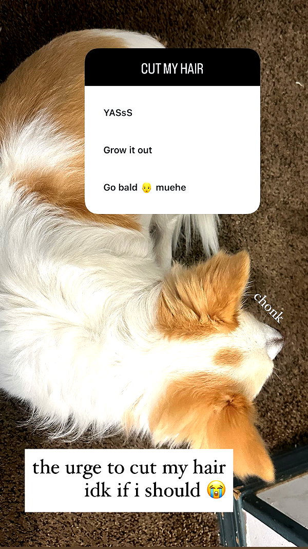 elliemvvnn instagram image archive image