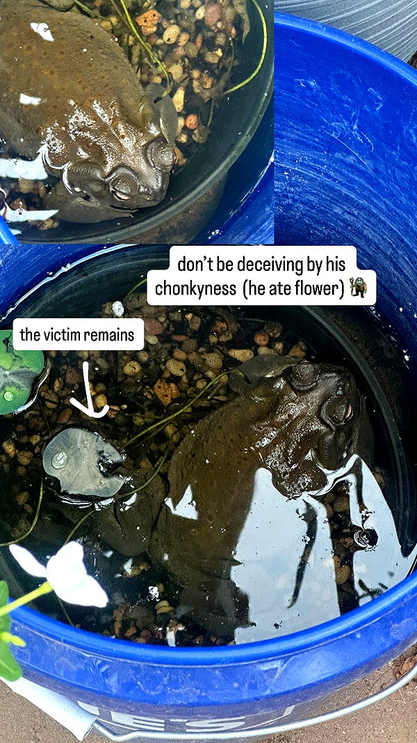 elliemvvnn instagram image archive image