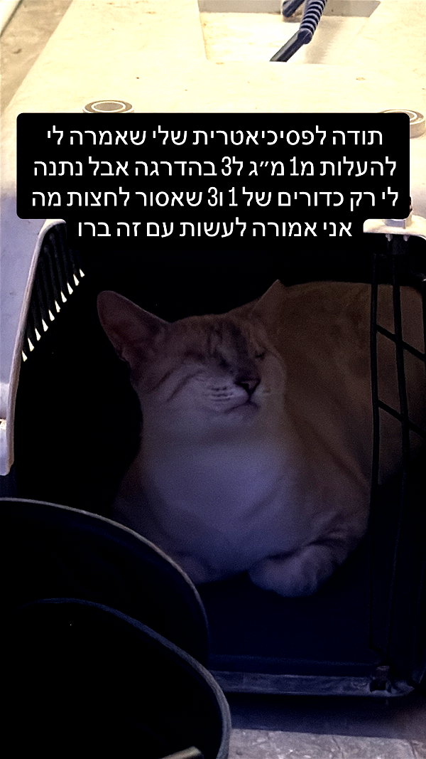 elohim_adirim instagram image archive image