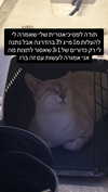elohim_adirim Altpins Profile Picture