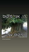 elohim_adirim Altpins Profile Picture
