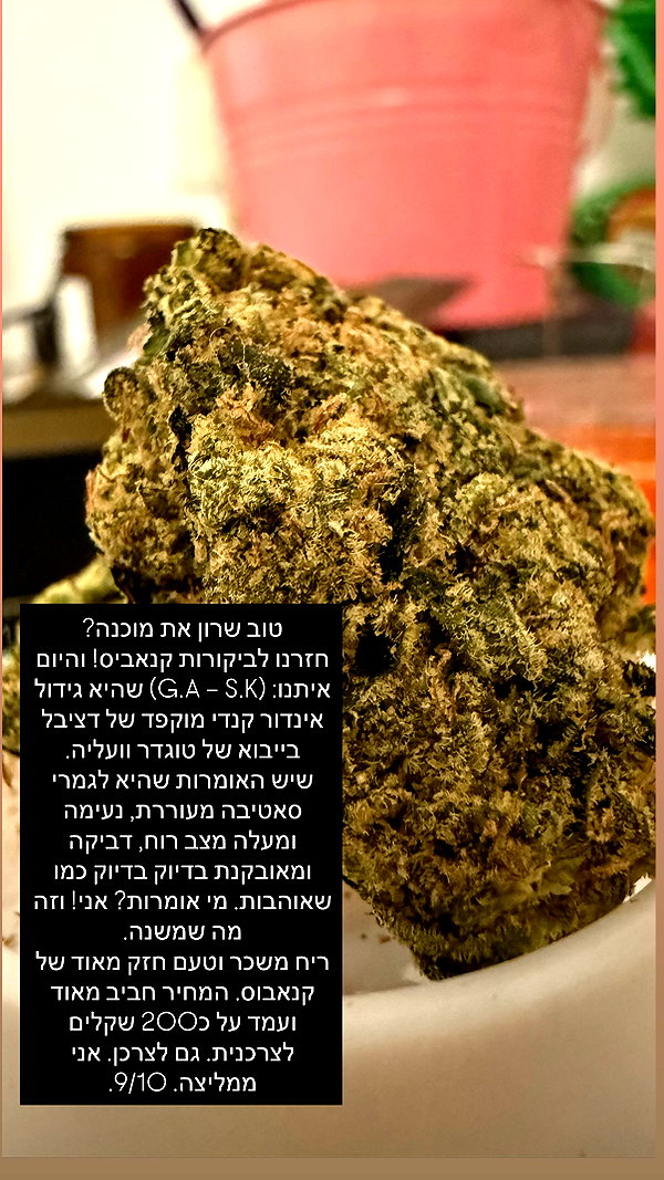 elohim_adirim instagram image archive image