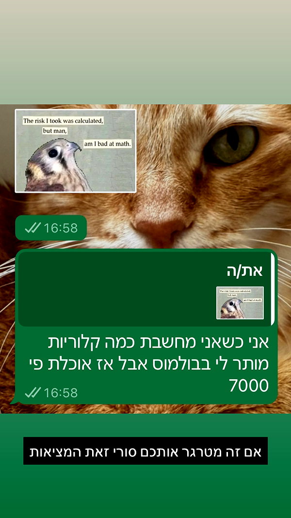 elohim_adirim instagram image archive image