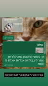elohim_adirim Altpins Profile Picture