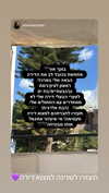 elohim_adirim Altpins Profile Picture
