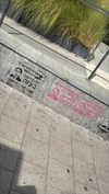elohim_adirim Altpins Profile Picture