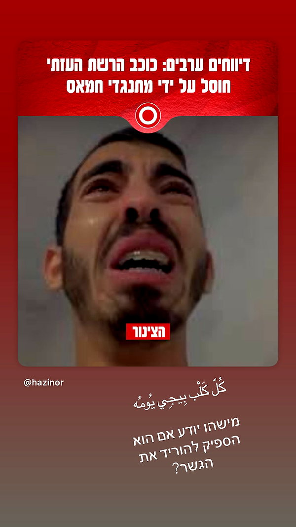 elohim_adirim instagram image archive image