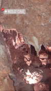 eloise_wensley Altpins Profile Picture