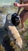 eloise_wensley Altpins Profile Picture
