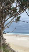 eloise_wensley Altpins Profile Picture
