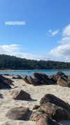 eloise_wensley Altpins Profile Picture