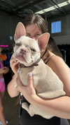 eloise_wensley Altpins Profile Picture
