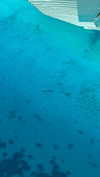 eloise_wensley Altpins Profile Picture