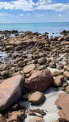 eloise_wensley Altpins Profile Picture