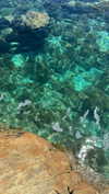 eloise_wensley Altpins Profile Picture