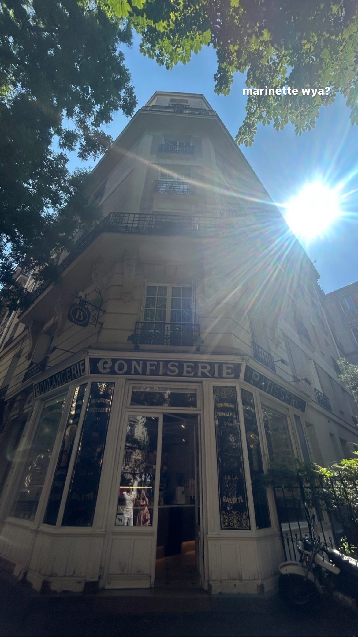 elsgatti instagram image archive image