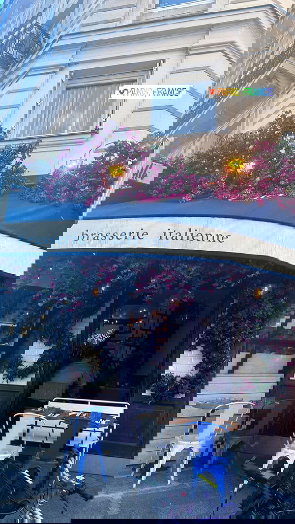 elsgatti image ~ Altpins