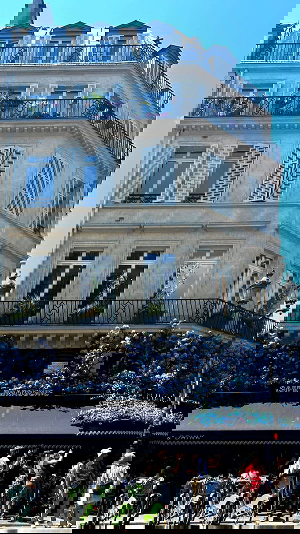 elsgatti image ~ Altpins