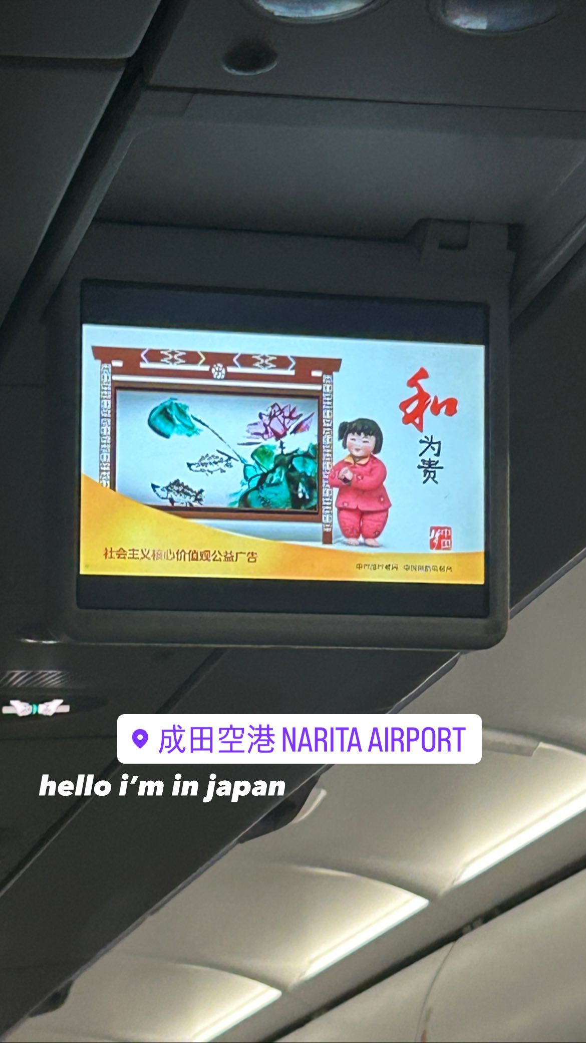 elsgatti instagram image archive image