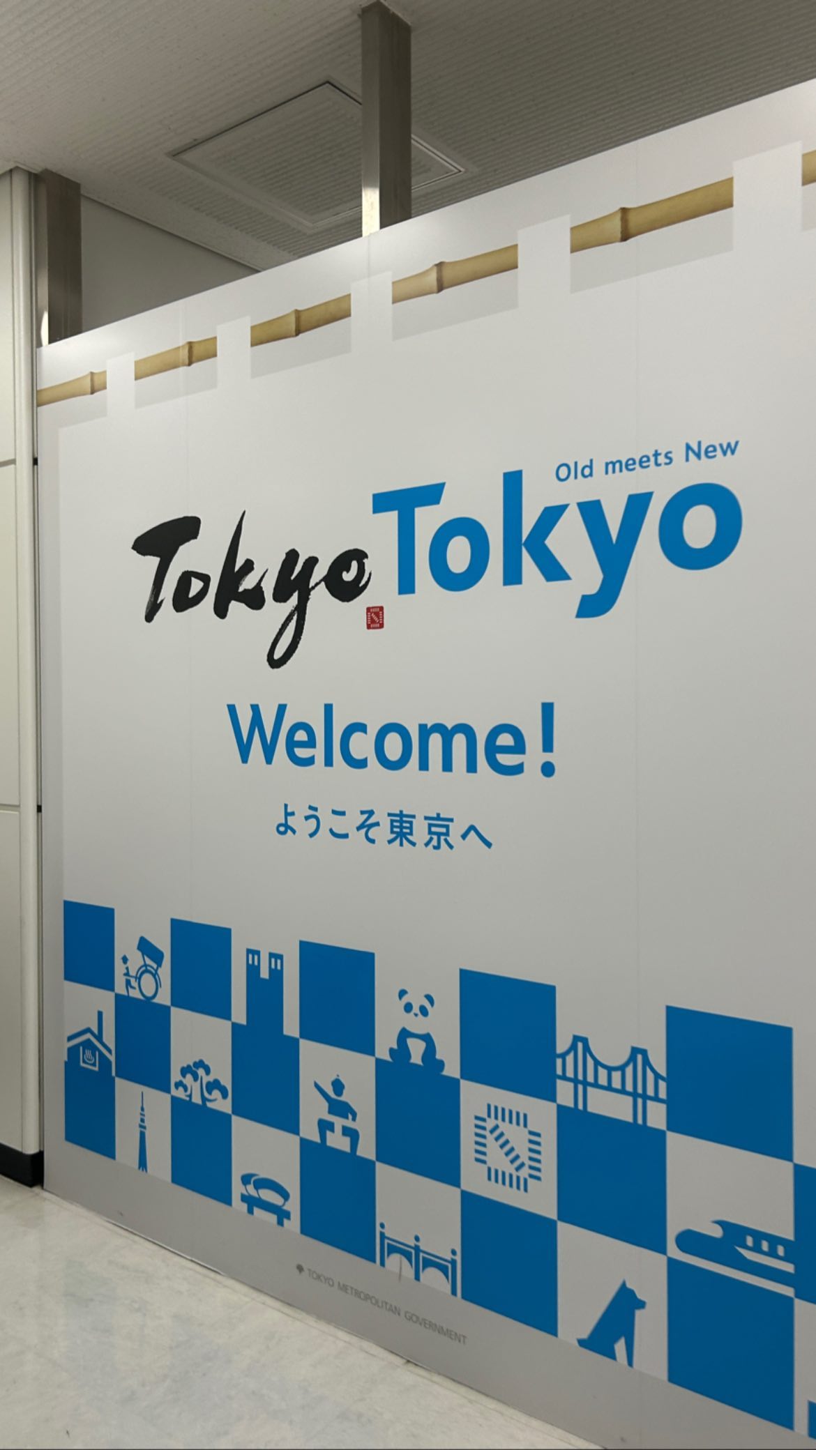 elsgatti instagram image archive image