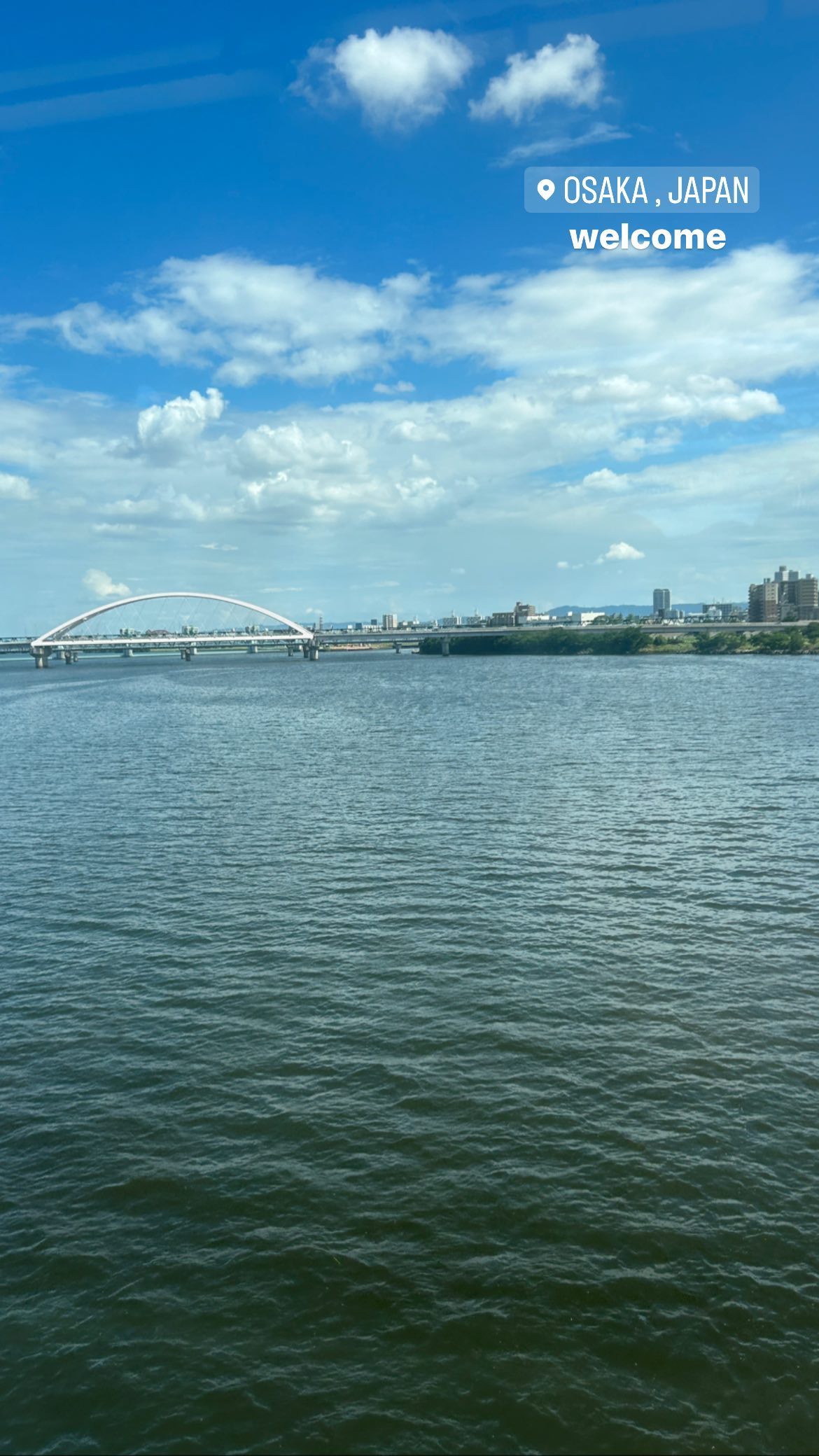 elsgatti instagram image archive image