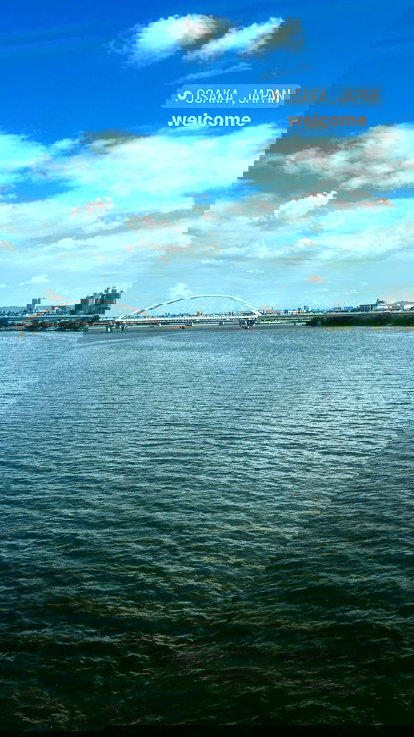 elsgatti image ~ Altpins