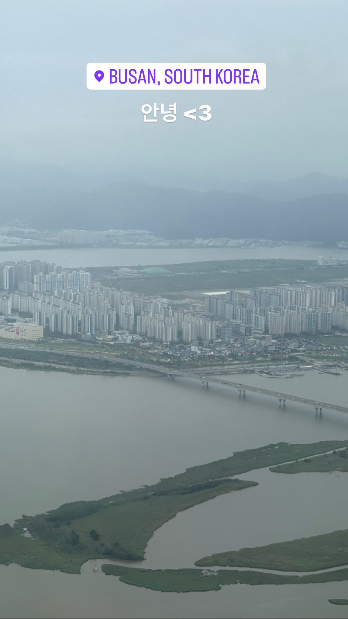 elsgatti instagram image archive image