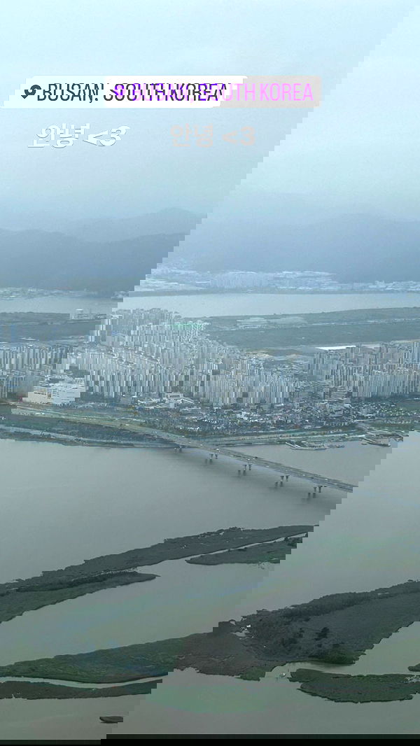 elsgatti image ~ Altpins