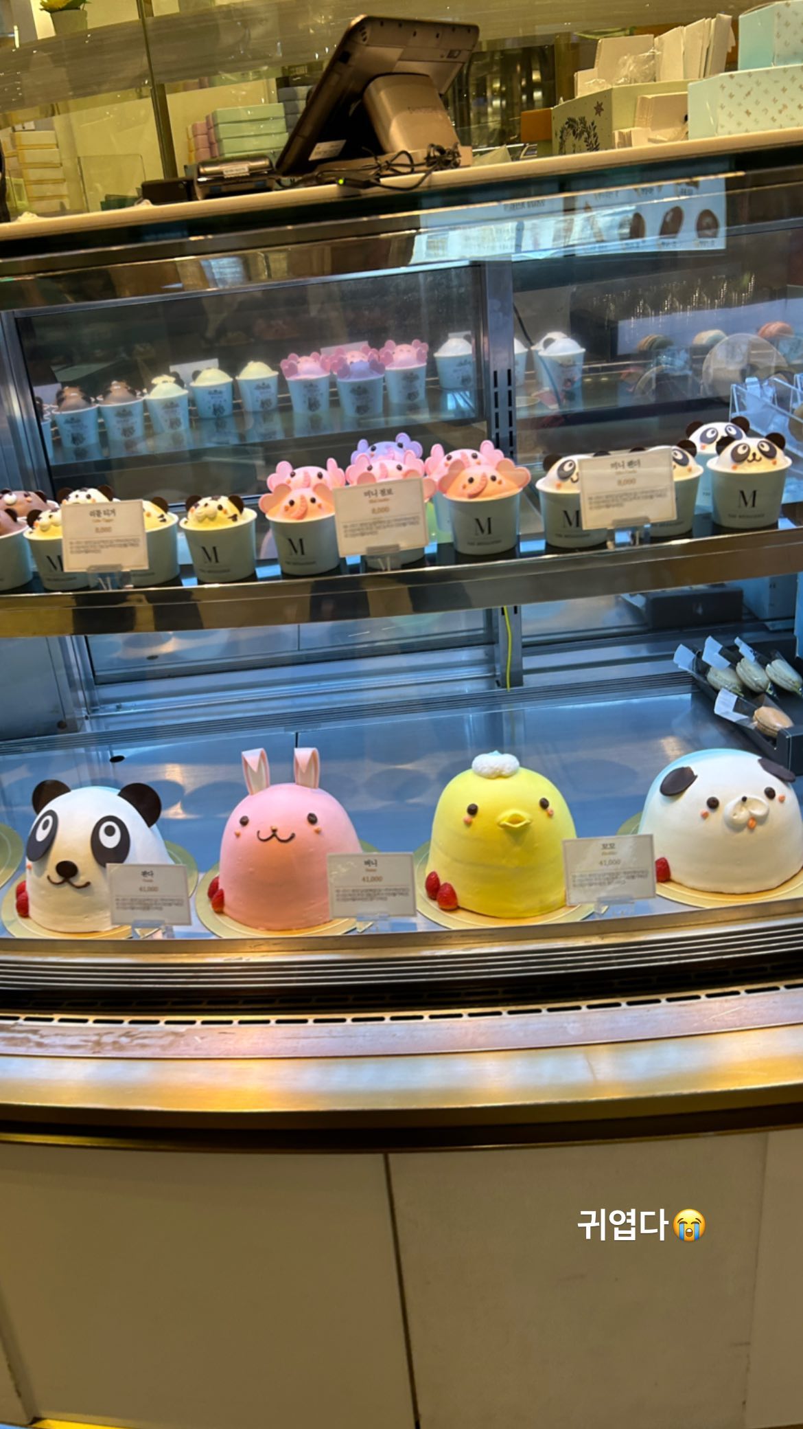 elsgatti instagram image archive image