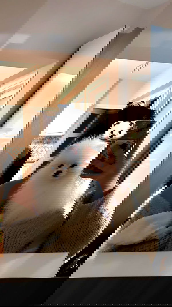 elsgatti image ~ Altpins