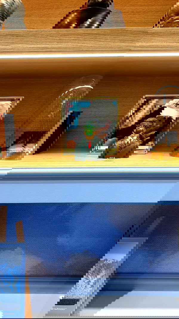 elsgatti image ~ Altpins