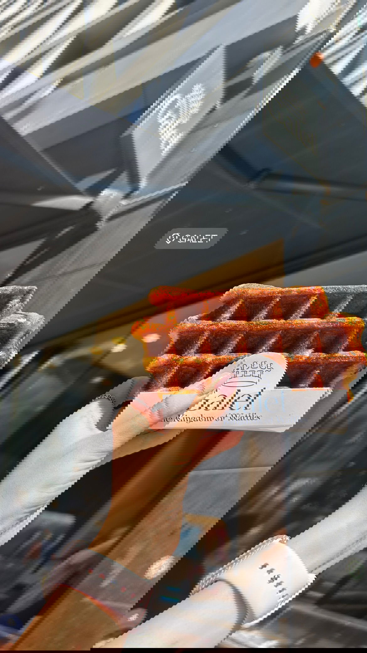 elsgatti instagram image archive image