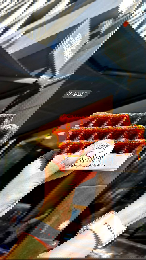 elsgatti image ~ Altpins