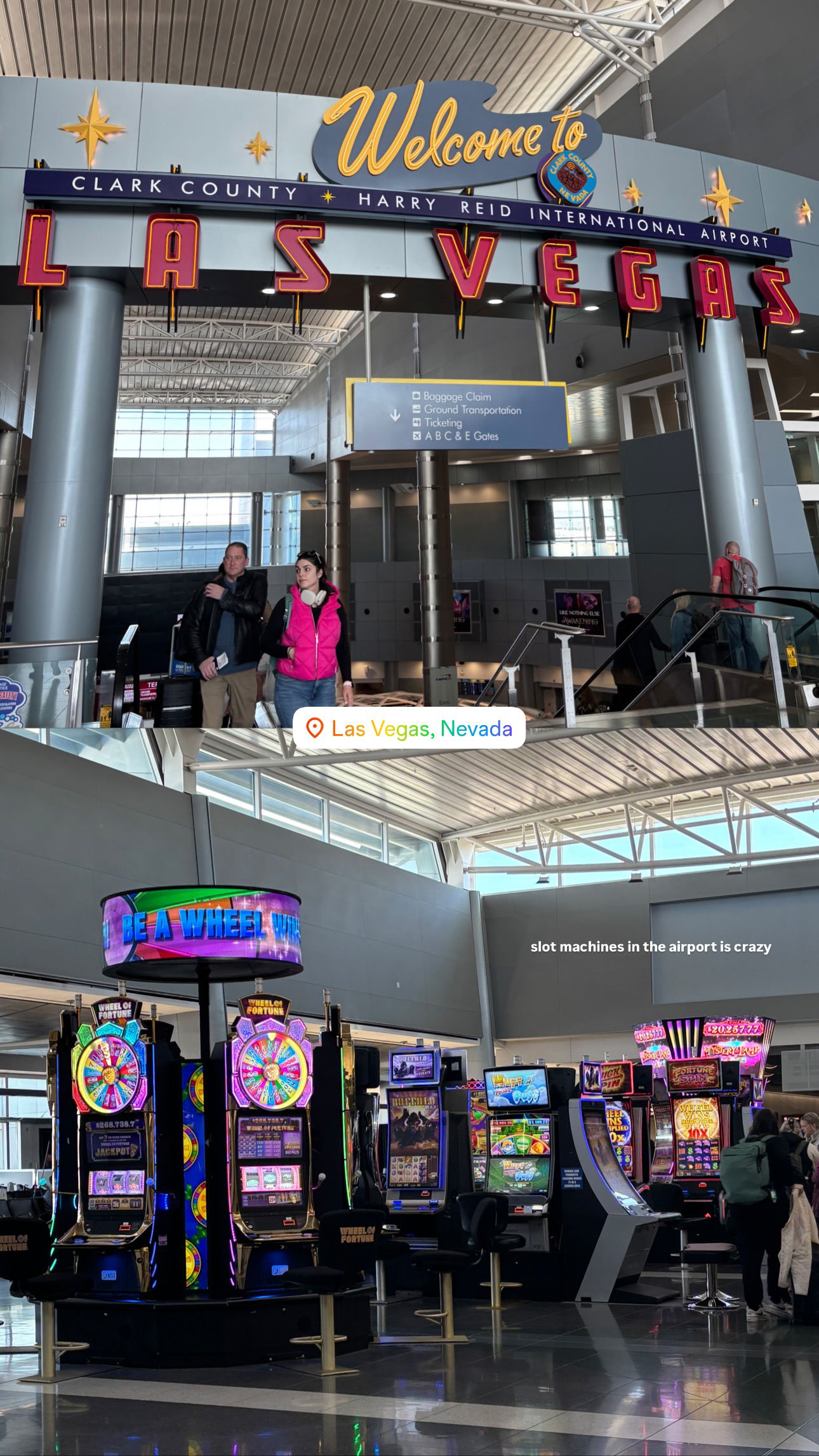 elsgatti instagram image archive image