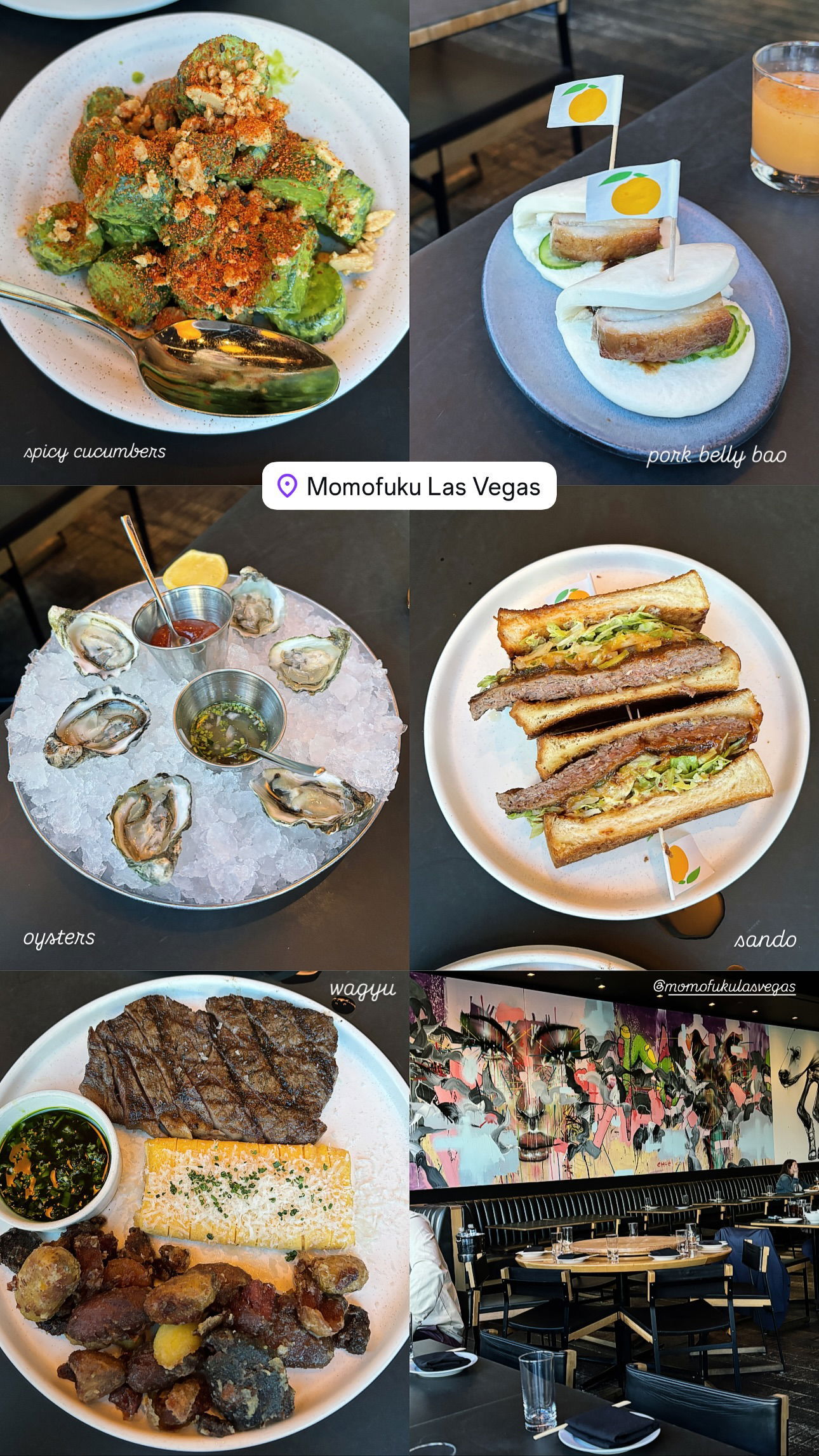 elsgatti instagram image archive image