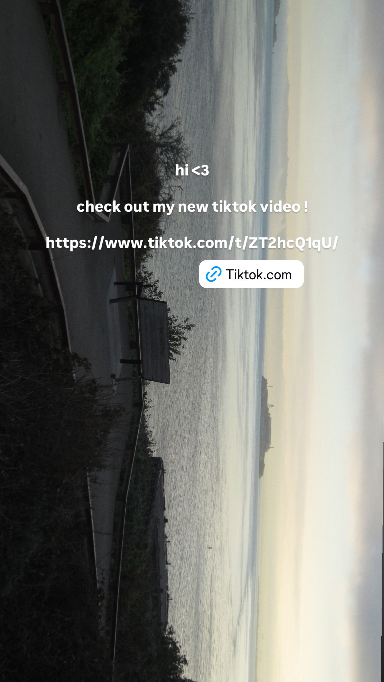 elsgatti instagram image archive image