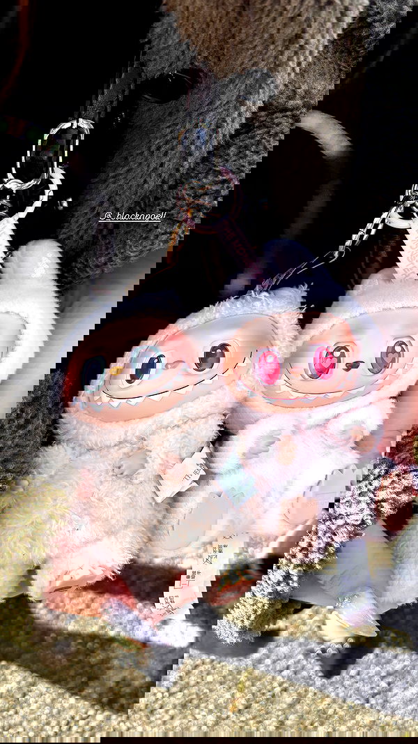 elsgatti image ~ Altpins