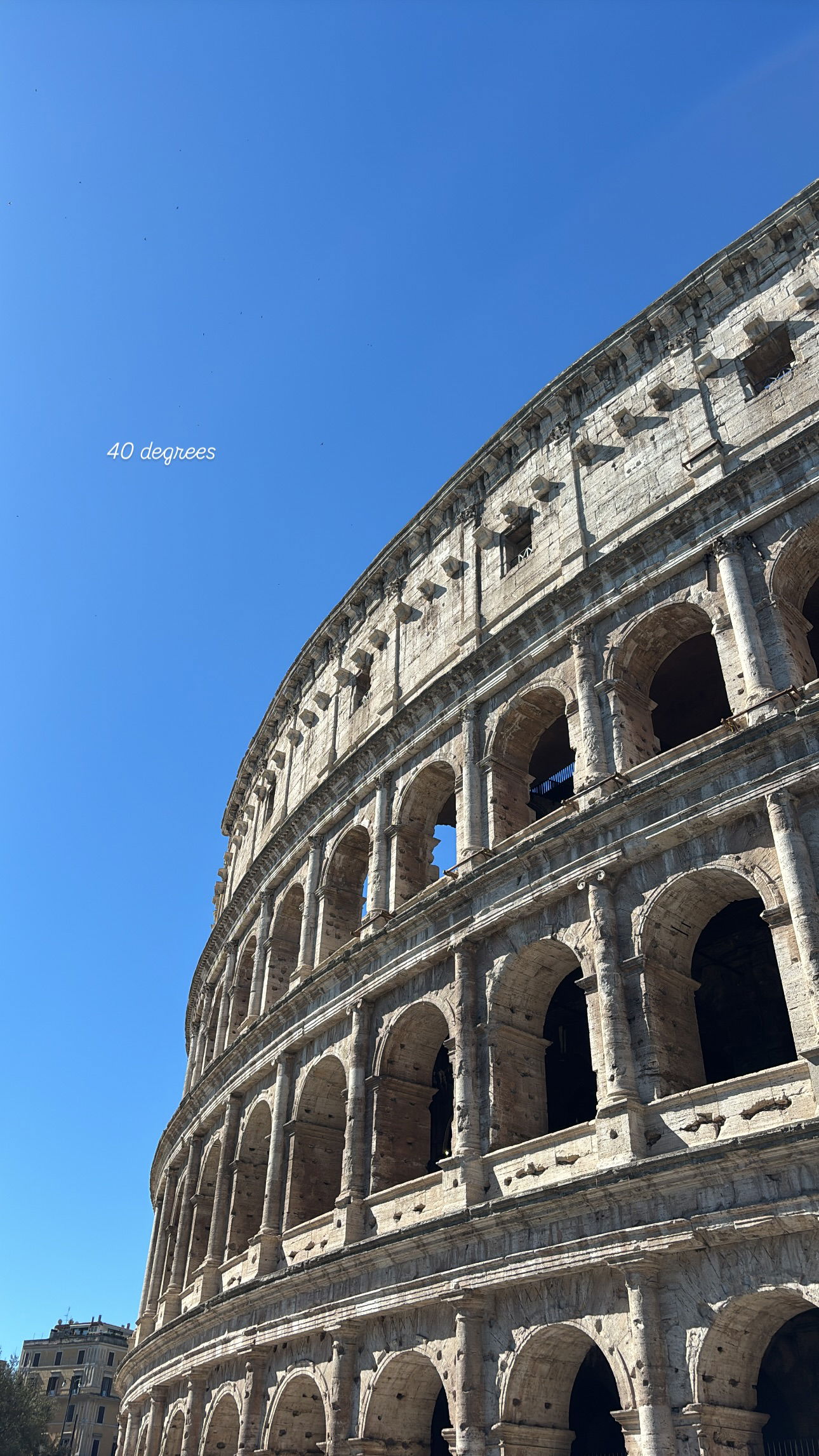 elsgatti instagram image archive image