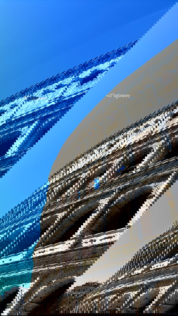 elsgatti image ~ Altpins