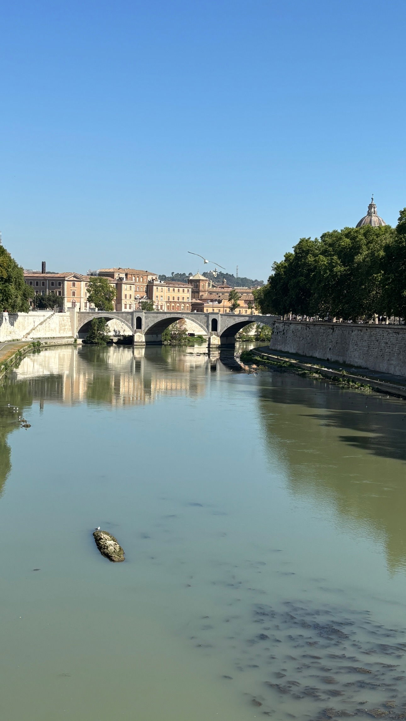 elsgatti instagram image archive image