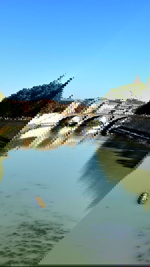 elsgatti image ~ Altpins